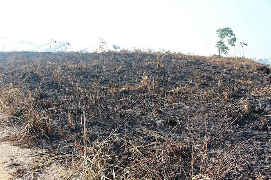 Gentio do Ouro: Após colocar fogo em roça, lavrador passa mal e morre queimado