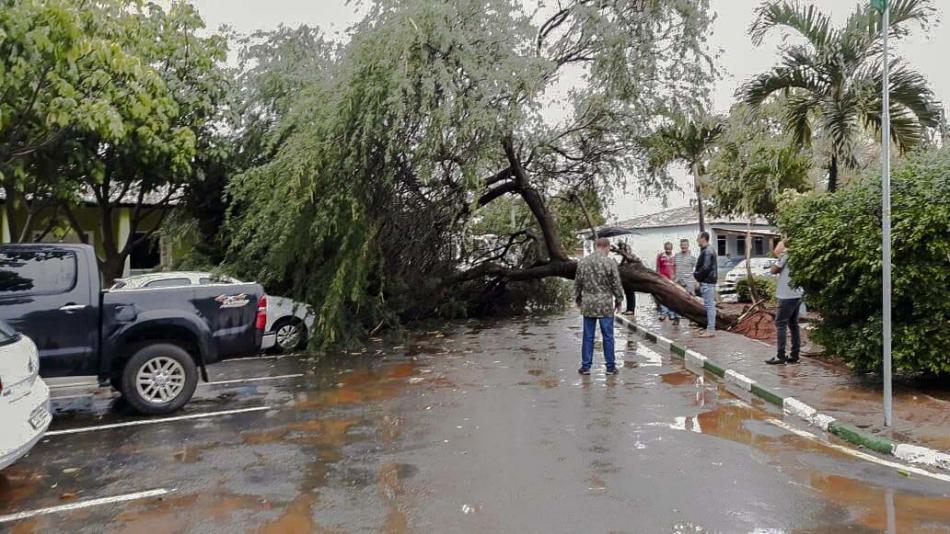 Lapão: Chuva com vento forte derruba árvore no Centro Administrativo 