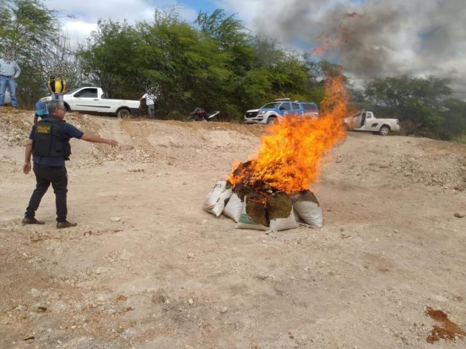 Mais de 600 quilos de drogas são incinerados em Itaguaçu da Bahia