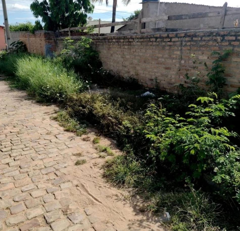 Ipupiara: Sem serviço de capina, mato cresce em ruas da cidade; moradores relatam descaso da Prefeitura 