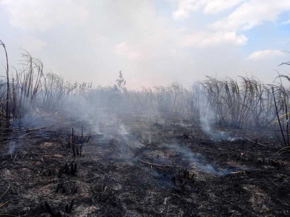 Incêndio em Mirorós causa devastação em fazenda