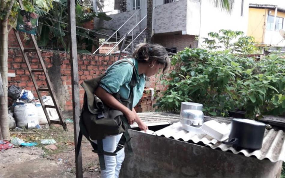 Gentio do Ouro está entre as quase mil cidades que podem ter surto de dengue, zika e chikungunya