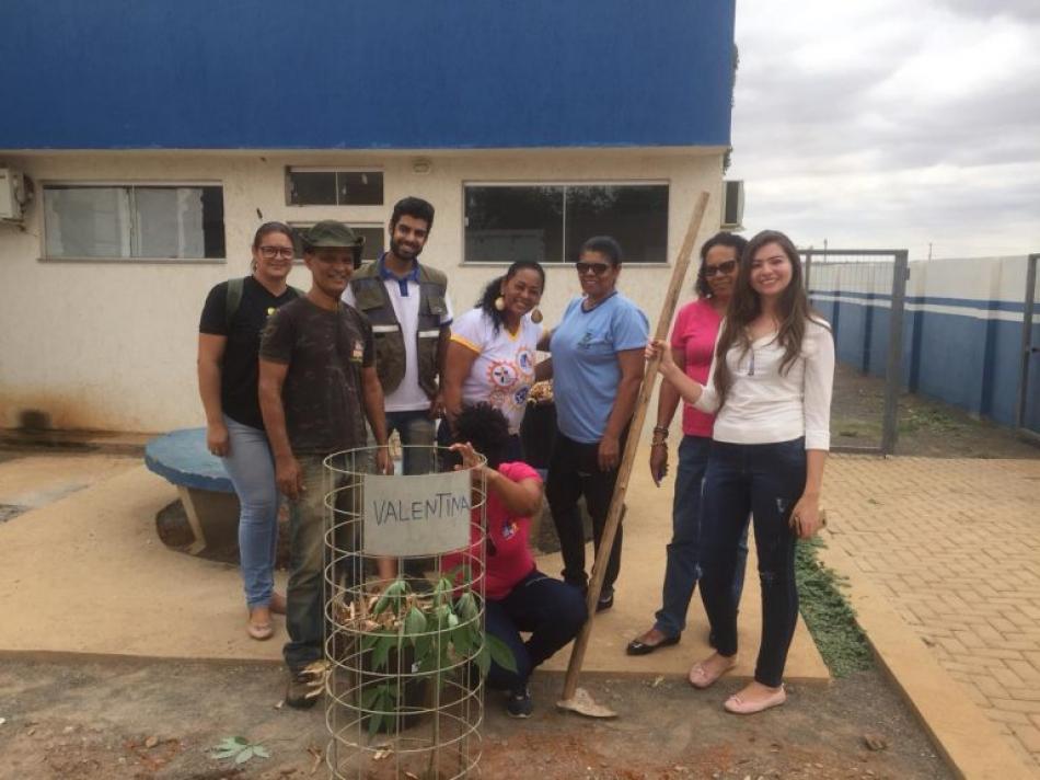 Irecê: Secretaria de Meio Ambiente arboriza áreas externas em Unidades de Saúde do município