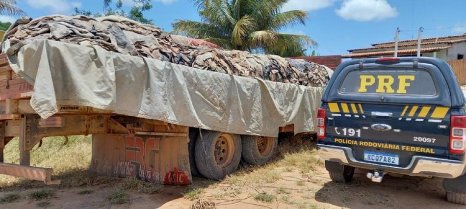 Polícia Rodoviária Federal apreende 18 mil quilos de couro bovino, em Seabra