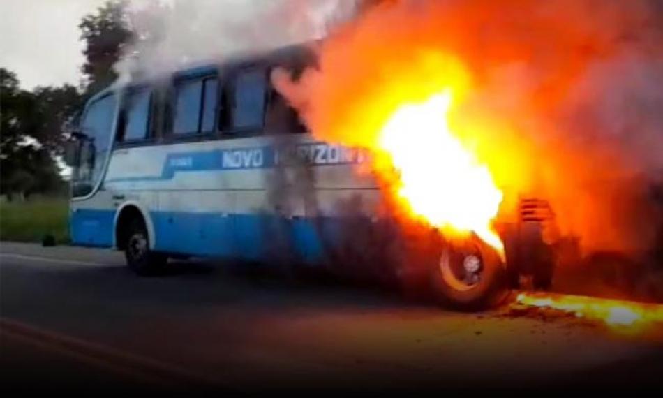 Ônibus da Viação Novo Horizonte é consumido pelas chamas na BA-262; veja vídeo