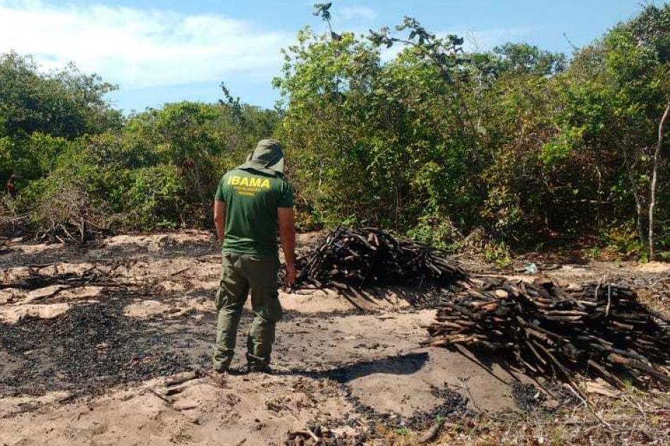 Gentio do Ouro e Xique-Xique: IBAMA realiza vistorias em cerâmicas, propriedades rurais e parque