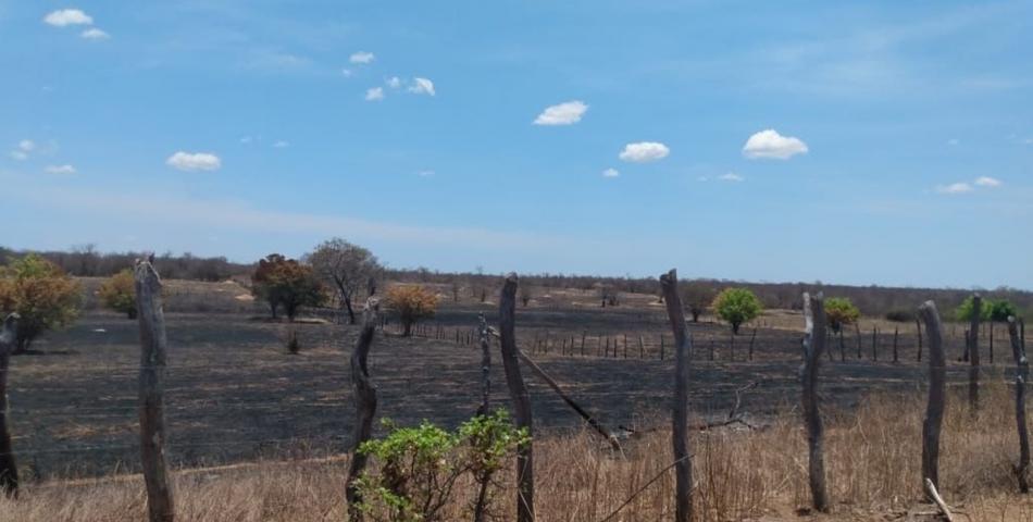 Xique-Xique: Prefeitura trabalha no combate ao incêndio que atinge região do Pajeú