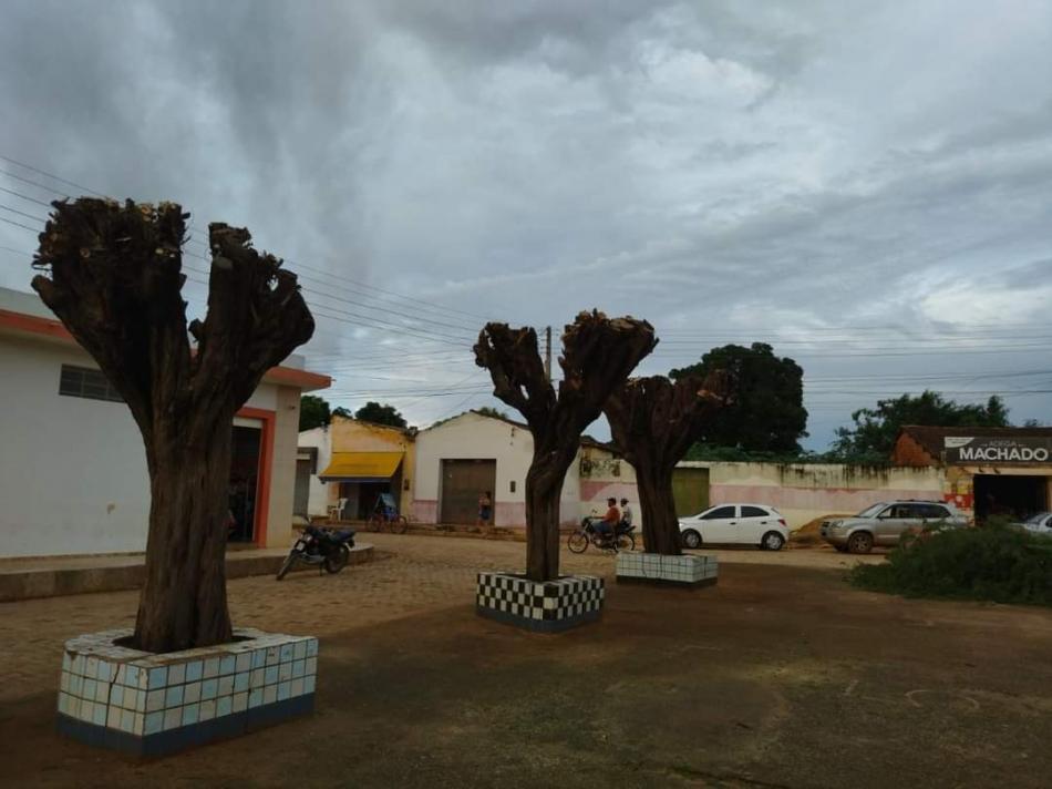 Hidrolândia: Internautas reclamam do tipo de poda feita em árvores 