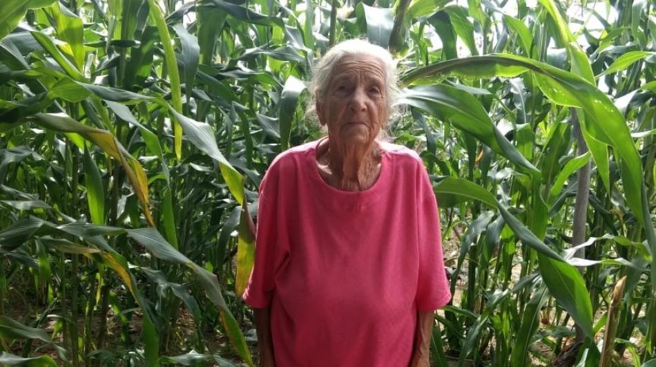 Em São Gonçalo, morre dona Nati, matriarca da família Miranda e Queiroz, aos 99 anos