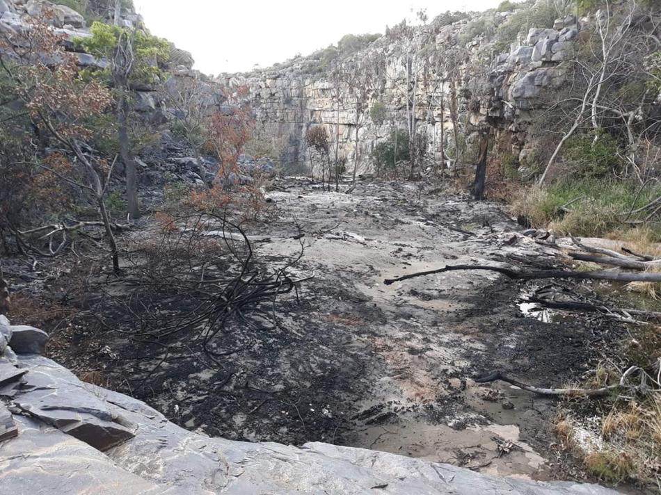 Gentio do Ouro: Incêndio destrói parte da vegetação da Cachoeira do Teotônio