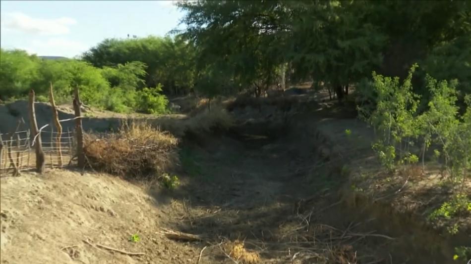 Rio afluente do São Francisco passa por seca com perfuração de poços e barragens irregulares