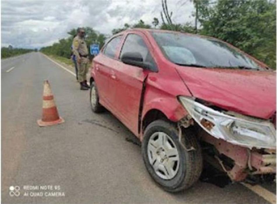 Carro colide com animal na BA-160, entre Xique-Xique e Barra