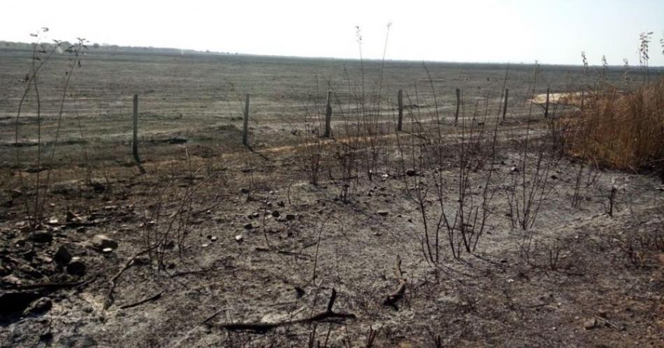 Em Barra, incêndio atinge vegetação e queima cerca de 1 mil hectares